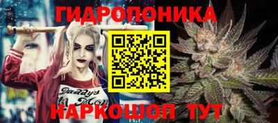 мяу мяу мука Заводоуковск