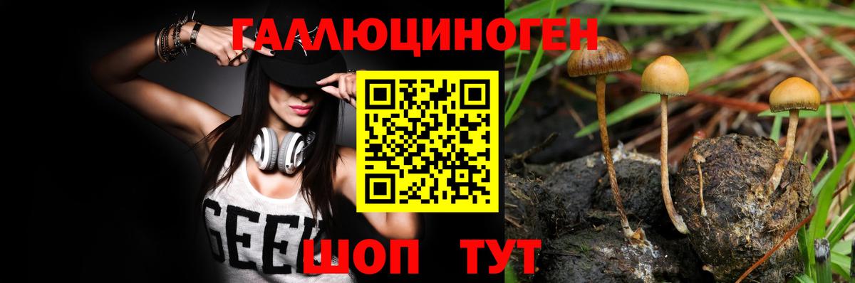 Валуйки  Галлюциногенные грибы мицелий  Вход с VPN 