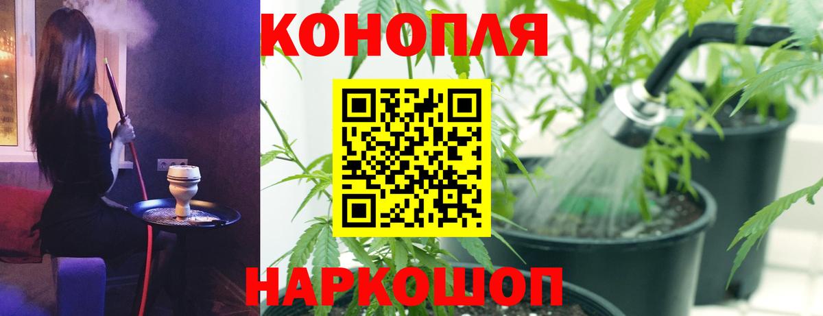 Шишки марихуана конопля Валуйки